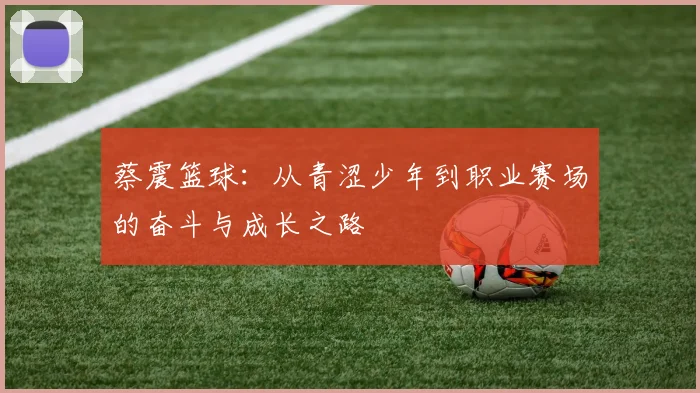 蔡震篮球：从青涩少年到职业赛场的奋斗与成长之路
