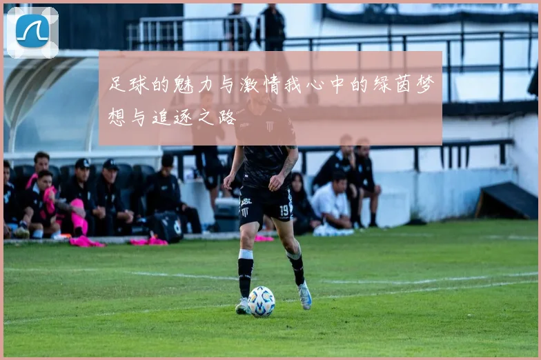 足球的魅力与激情我心中的绿茵梦想与追逐之路